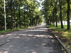 -莫斯科大学