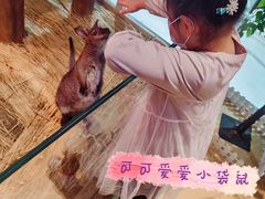 -Mr·Kuma酷么先生雪之乐园