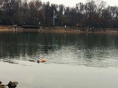 -紫霞湖公园