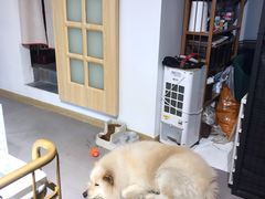 -肆兮眼镜·蔡司·徕卡战略合作店(大坪店)