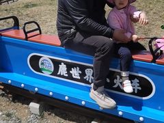 -北京鹿世界主题园