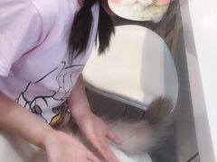 -飞行喵MR PILOT|猫舍·猫咖(静安大融城店)