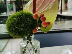 -深圳威尼斯英迪格酒店-邻芙花廊下午茶·NINFA GALLERY·蛋糕·咖啡