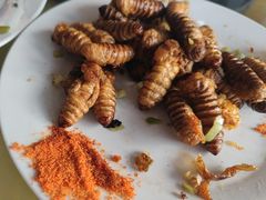 -华龙特色大骨鸡农家菜馆