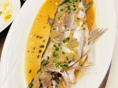 -新世纪大酒楼·30年南海菜
