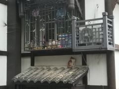 -磁器口古镇