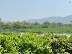 -西溪国家湿地公园