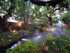 -Chom Cafe and Restaurant