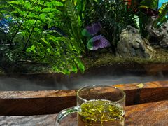 -天目湖山水园