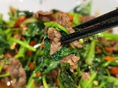 -壹盏灯(惠农店)