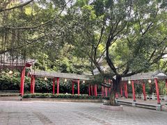 -广州市白云山风景名胜区
