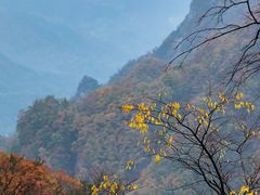 -雁荡山风景名胜区