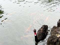 -海南热带野生动植物园