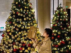 -博林天瑞喜来登酒店·西丽尚膳