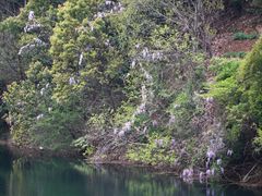 -龙坞茶村