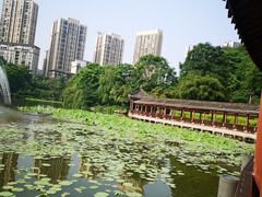-龙头寺公园