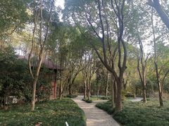 -昆山城市生态森林公园