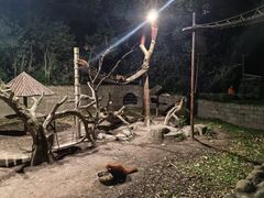 -上海野生动物园