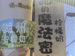 -猫的魔法密林(衣裳街店)