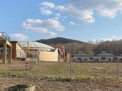 -哈尔滨北方森林动物园