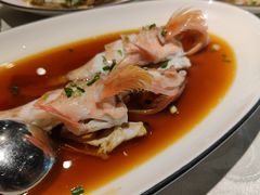 -尚海豆捞(乐虹坊店)