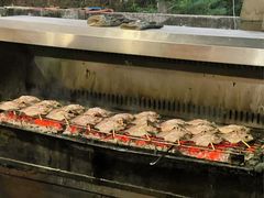 -杨合林啊兰烤鱼