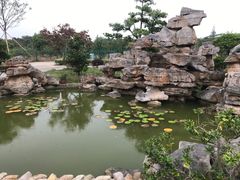 -呼吸森林·生态农庄农家乐私房菜