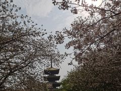 -陇上秦轩biangbiang面(萧山万象汇店)