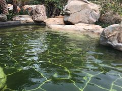 -七彩云南古滇温泉山庄