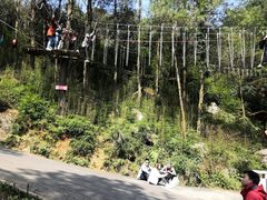 -梦幻奥陶纪景区