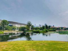 景观位-南通滨江洲际酒店-西集自助餐厅