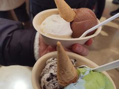 -极拉图·现制冰淇淋(大卫城店)
