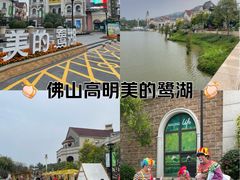 -美的鹭湖森林度假区
