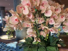 -八府香鸭·啫啫煲(华山路店)