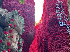 -淹城春秋乐园