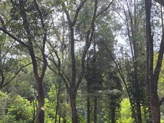-广州市白云山风景名胜区
