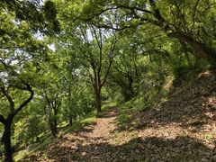 -平湖九龙山旅游度假区