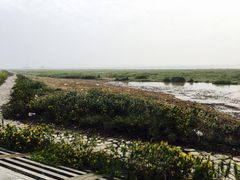 -南汇嘴观海公园