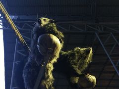 -清迈夜间动物园