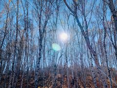 -塞罕坝国家级自然保护区