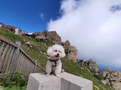 -白草畔自然风景区