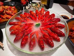 经典冰镇龙虾-红盔甲·小龙虾(天钥桥店)