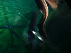 -上海海洋水族馆-停车场