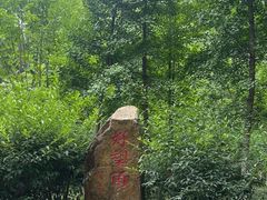 -上海市保健医疗中心