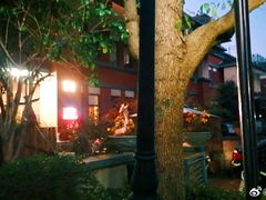 -大华梧桐墅大公馆