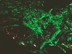 -LAMP BAR 水烟音乐酒吧