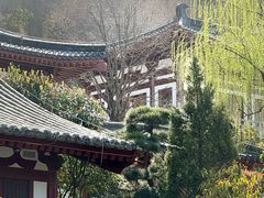 -华清宫景区