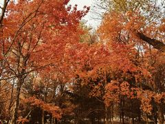 -长春世界雕塑园冰雪艺术天地