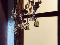 -白熊咖啡(闽江大道店)
