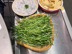 -生活如沸·顺德水牛奶火锅(大学路店)